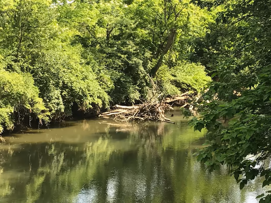 Dog Park at Three Creeks Metro Park